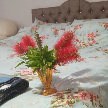 Kpz Homestay Sleeping Privat bolig *